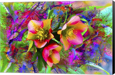 Framed Flower Design K12 Print