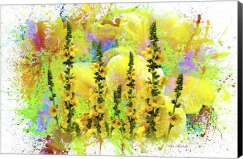 Framed Flowers Explosion SEP1 Print