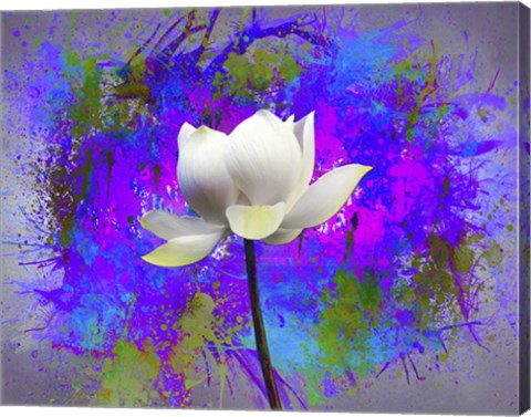 Framed Flowers Explosion SEP3 Print