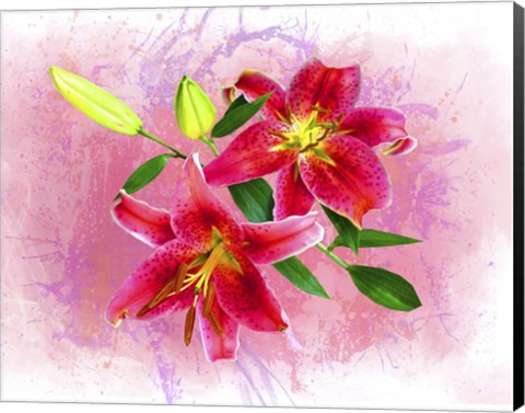 Framed Flowers Explosion SEP4 Print