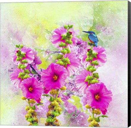 Framed Flowers Explosion SEP6 Print