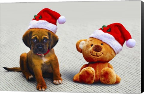 Framed Puppy and Teddy Print