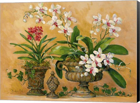 Framed Orchid Renaissance Print