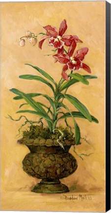 Framed Orchid Revival I Print