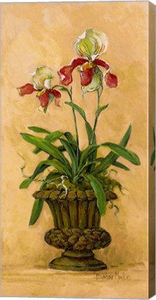 Framed Orchid Revival II Print