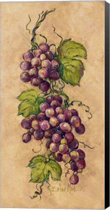 Framed Vintage Grapevine I Print