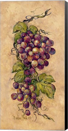 Framed Vintage Grapevine II Print