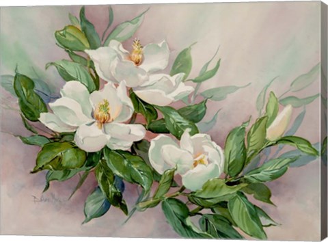 Framed Magnolia Blossoms Print