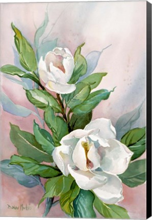 Framed Classic Magnolia B Print