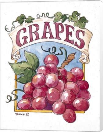 Framed Grape Seed Packet Print