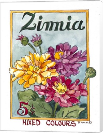 Framed Mixed Colors Zinnia-Seed Packet Print