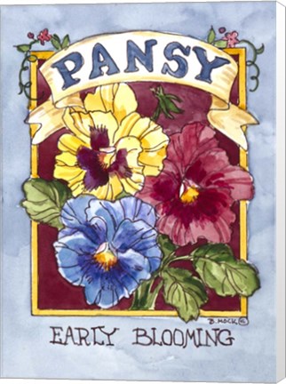 Framed Large Pansy-Seed Packet Print