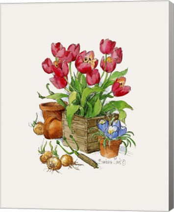 Framed Tulips in Bloom Print