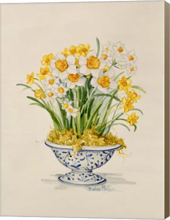 Framed Blue and White Porcelain Daffodils Print