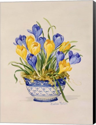 Framed Blue and White Porcelain Crocus Print