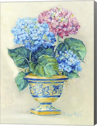 Framed Hydranga Blooms II Print