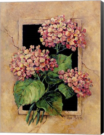 Framed Framed Hydrangas Print