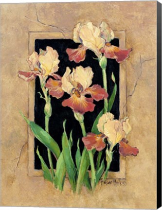 Framed Framed Iris Print