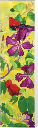 Framed Iiwis in Orchid Tree Print