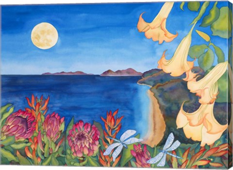 Framed Full Moon Transformation Print