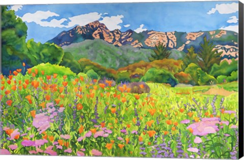 Framed Santa Barbara Botanic Garden Print