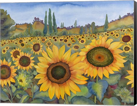Framed Sunflower Fields Print