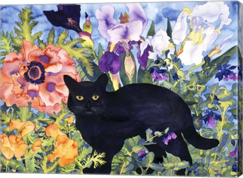 Framed Black Cat Magic Print