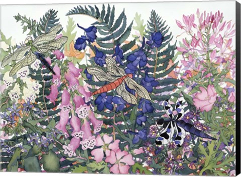 Framed Dragonflies Print