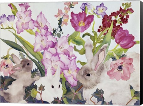 Framed Three Bunnies Print