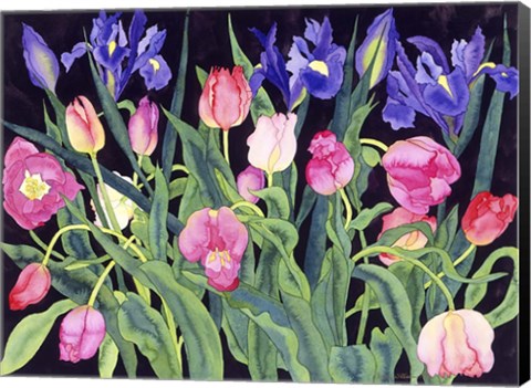 Framed Tulips And Irises Print