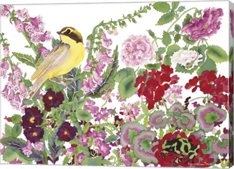 Framed Warbler With Frog Print