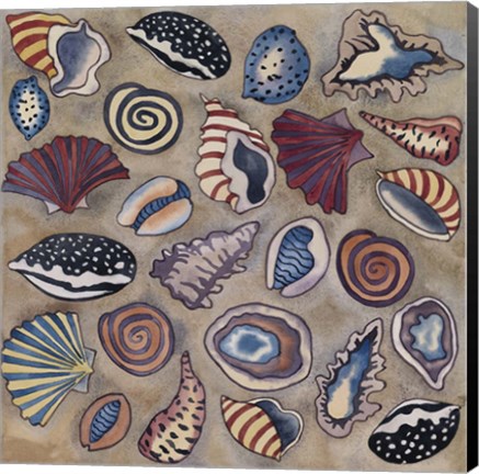 Framed Sea Shells Print