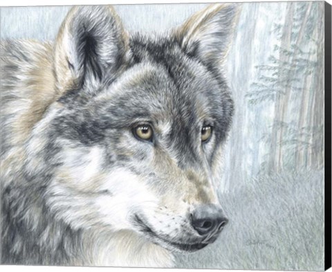 Framed Intent Eyes Print