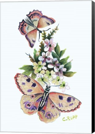 Framed Butterfly in Pink Print
