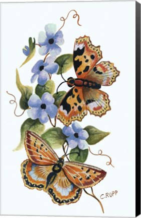 Framed Butterfly on Blue Print