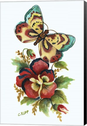 Framed Butterfly on Red Pansey Print