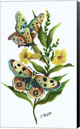 Framed Butterfly on Yellow Floral Print