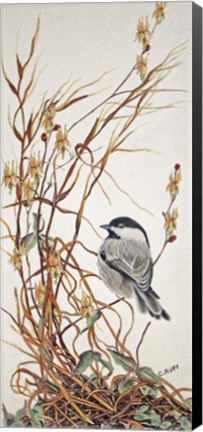 Framed Chickadee in Summer Grass Print