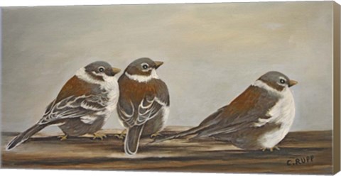 Framed Chickadees on the Deck Print