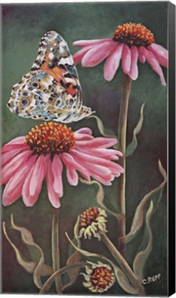 Framed Coneflower with Butterfly Print