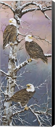 Framed Eagle Trio at Dawn Print