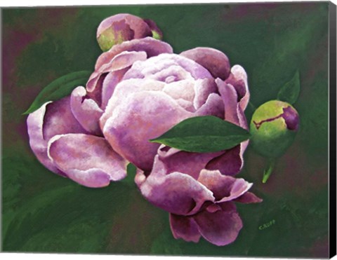 Framed First Bloom Print