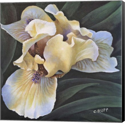 Framed Glowing Print