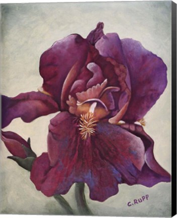 Framed Going Solo Print