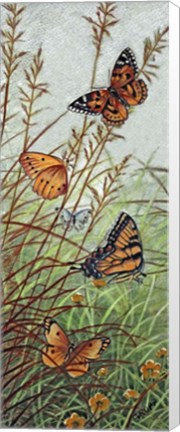 Framed Golden Butterflies Print
