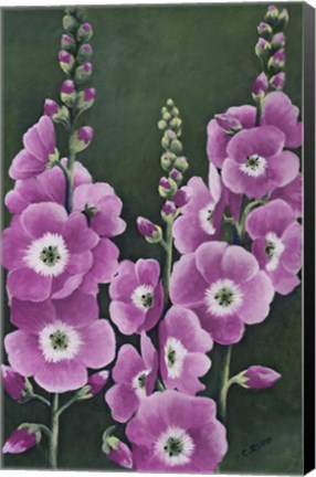 Framed Hollyhocks in Lilac Print