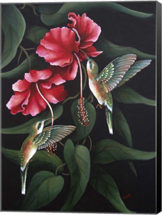 Framed Hummingbird  Duet Print