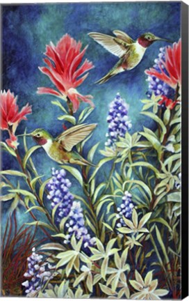 Framed Hummingbirds in Mountain Foliage Print