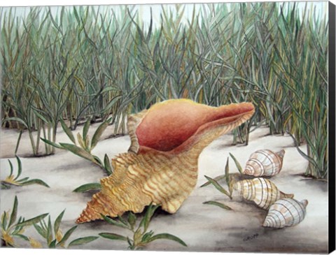 Framed Left By The Sea Print