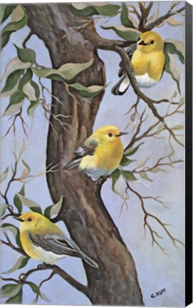 Framed Little Yellow Birds Print
